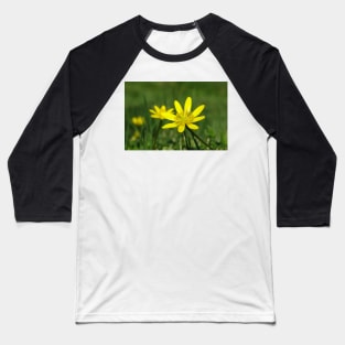 Lesser Celandine on the level Baseball T-Shirt